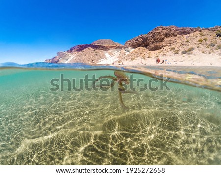 Similar – Unbekannter Jugendlicher in Neoprenanzug und Schnorchel im klaren Wasser mit felsigen Klippen von Menorca, Spanien, geteilter Blick über und unter der Wasseroberfläche