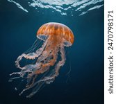 Jellyfish are mesmerizing marine creatures characterized by their gelatinous bodies and trailing tentacles. They come in a variety of shapes, sizes, and colors, ranging from translucent to vibrant hue