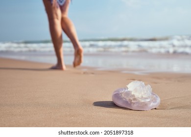 Jellyfish On The Shore Of The Beach. Jellyfish Sting