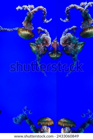 Similar – Image, Stock Photo THE ROUND ONE MUST BE IN THE ANGULAR ONE