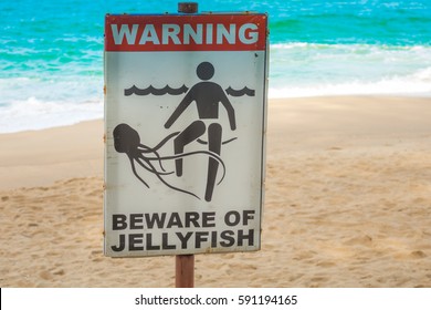 Jellyfish Warning Sign At  Beach