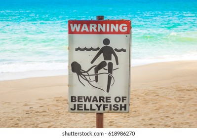 Jellyfish Warning Sign At  Beach