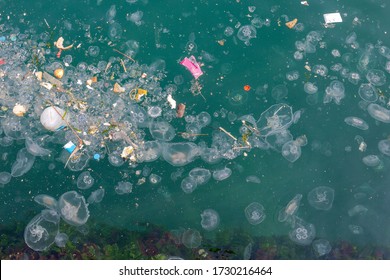 Jellyfishes and garbage floating on water. Resulting with water pollution and environmental damage to the sea, Karakoy - Istanbul.
