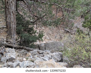 Jemez Mountains New Mexico