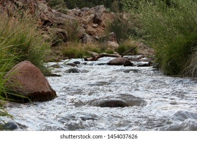 Jemez River In New Mexico Mountains