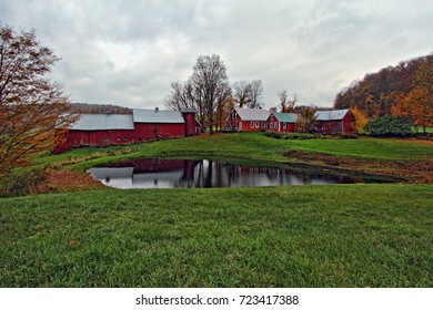 Jenne Farm Pond Reflection