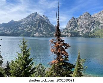 Jenney Lake At Great Teton