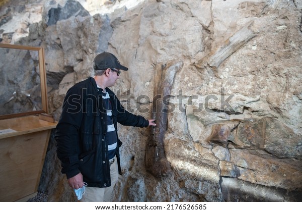 Jensen, CO: October 24, 2021:  Tourists at Quarry\
Exhibit Hall at Dinosaur National Monument..  Dinosaur National\
Monument was established in\
1915.