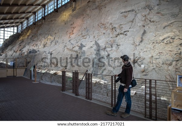 Jensen, CO: October 24, 2021: Tourists at Quarry\
Exhibit Hall at Dinosaur National Monument.. Dinosaur National\
Monument was established in\
1915.