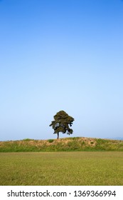 Jeongbuk-dong Fortress Is The Holy Land Of The Three Kingdoms Period.