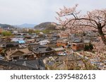 Jeonju Hanok Village townscape in South Korea. Neighborhood of traditional Korean wooden architecture with spring time cherry blossoms.