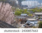 Jeonju Hanok Village townscape in South Korea. Neighborhood of traditional Korean wooden architecture with spring time cherry blossoms. Shallow depth of field.