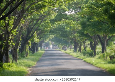 Jepara, Central Java, Indonesia. April 7th 2024 :
A street full of memories.