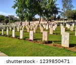 Jerusalem British War Cemetery is a British cemetery in Jerusalem (Jerusalem War Cemetery) for fallen servicemen of the British Commonwealth in the World War I in Israel.  Mount Scopus, Israel