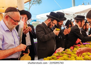 JERUSALEM, ISRAEL - SEPTEMBER 20, 2018:  Orthodox Jews In Black Hats And Black Suits Choose Ritual Plants. Sukkot Is A Jewish Holiday. Pre-holiday Bazaar. Etrogs