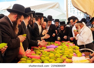 JERUSALEM, ISRAEL - SEPTEMBER 20, 2018:  Sukkot Is A Jewish Holiday. Pre-holiday Bazaar For The Sale Of Ritual Plants. Etrogs. Religious Jews Check The Quality Of The Purchase. 