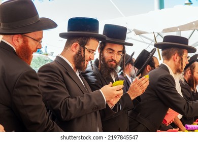 JERUSALEM, ISRAEL - SEPTEMBER 20, 2018:  Orthodox Jews In Black Hats And Black Suits Choose Ritual Plants. Etrogs. Sukkot Is A Jewish Holiday. Pre-holiday Bazaar. 