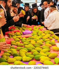 JERUSALEM, ISRAEL - SEPTEMBER 20, 2018:  Pre-holiday Bazaar. Orthodox Jews In Black Hats And Black Suits Choose Ritual Plants. Etrogs. Sukkot Is A Jewish Holiday. 