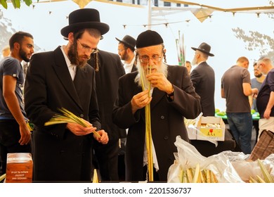 JERUSALEM, ISRAEL - SEPTEMBER 20, 2018: Sukkot Is A Jewish Holiday. Pre-holiday Bazaar For The Sale Of Ritual Plants. Religious Jews Check The Quality Of The Purchase