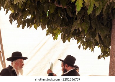 JERUSALEM, ISRAEL - SEPTEMBER 20, 2018: Pre-holiday Bazaar. Orthodox Jews With Sidelocks In Black Hats Choose Ritual Plants For The Holiday Of Sukkot. 