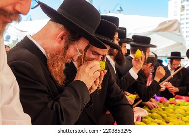 JERUSALEM, ISRAEL - SEPTEMBER 20, 2018:  Sukkot Is A Jewish Holiday. Pre-holiday Bazaar. Etrogs. Orthodox Jews In Black Hats And Black Suits Choose Ritual Plants.