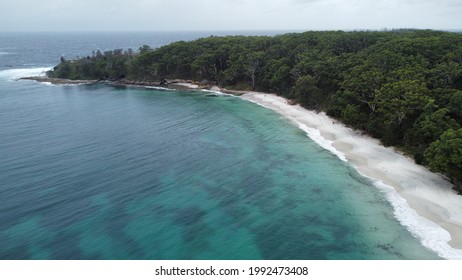 Jervis Bay Beach Encroaching Forest