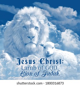 Jesus Christ Lamb And Lion