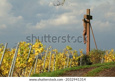 Similar – Tower in the vineyard Food