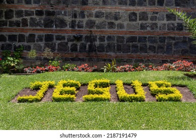 Jesus name in garden plants