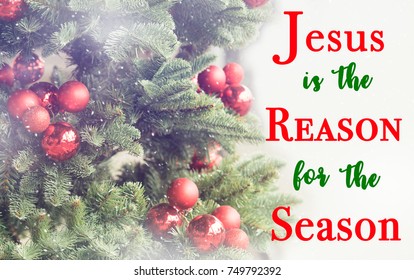 Jesus Is The Reason For The Season Christian And Nativity Word.Christmas Tree Background With Red Christmas Ball Use For Background In Church On Christmas Time Celebration. 