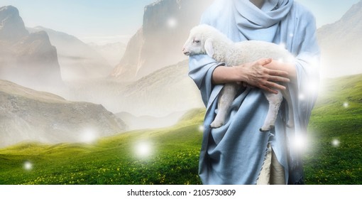 Jesus recovered the lost sheep carrying it in his arms. Biblical story conceptual theme. - Shutterstock ID 2105730809