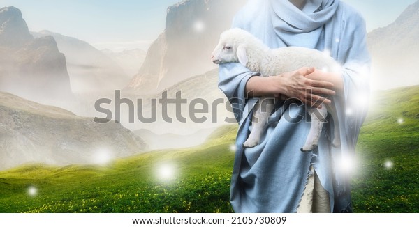 Jesus recovered the lost sheep carrying\
it in his arms. Biblical story conceptual\
theme.