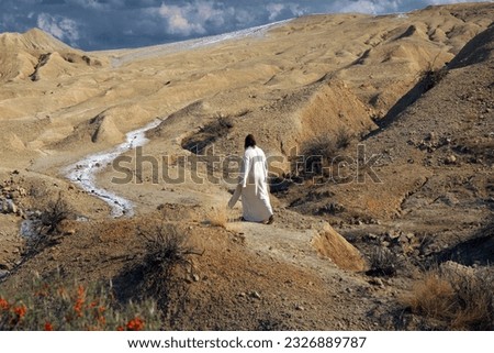 Jesus walking alone through the desert. Biblical concept.