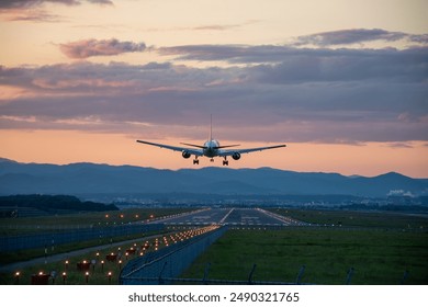 Jet plane landing at an airport at dusk
