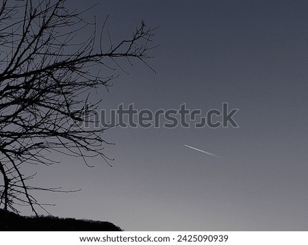 Jet Plane in the sky in winter with dry tree silhouette in Kotor bay, Montenegro 