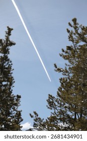 A Jetstream through the trees