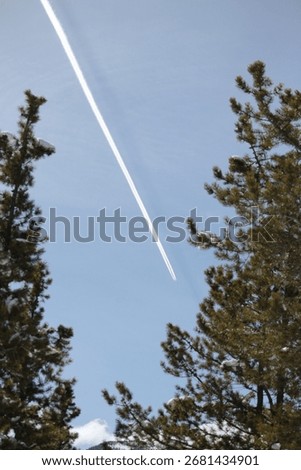 A Jetstream through the trees