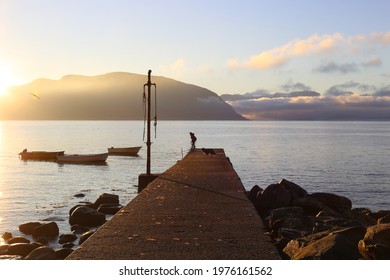 Jetty Walk At Sunrise With Dog 