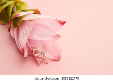 Jewelry Fashion Photography. Earrings On A Pink Flower On Pinl Background. Content Creative Minimalist Shooting.