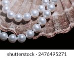 jewelry for a woman of white pearls beautifully arranged on a seashell , photo taken on a dark background at an angle