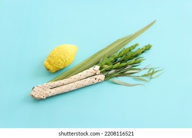 Jewish festival of Sukkot. Traditional symbols (The four species): Etrog (citron), lulav (palm branch), hadas (myrtle), arava (willow) - Shutterstock ID 2208116521