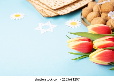 Jewish Holiday Passover Greeting Card Concept With Matzah, Nuts And Tulip Flowers On Blue Table. Seder Pesach Spring Holiday Background, Copy Space.