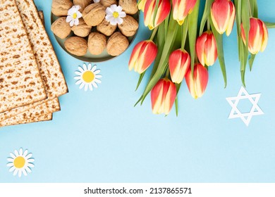 Jewish holiday Passover greeting card concept with matzah, nuts, tulip and daisy flowers on blue table. Seder Pesach spring holiday background, top view, copy space.