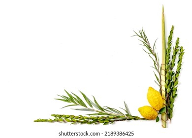 Jewish holiday of Sukkot. Traditional symbols (The four species): Etrog (citron), lulav (palm branch), hadas (myrtle), arava (willow) - Shutterstock ID 2189386425
