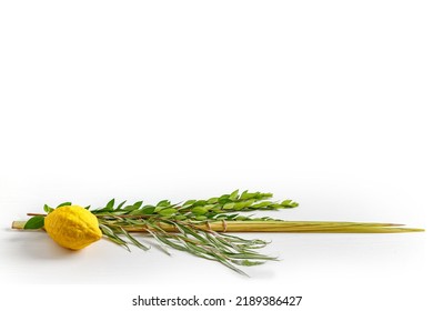 Jewish holiday of Sukkot. Traditional symbols (The four species): Etrog (citron), lulav (palm branch), hadas (myrtle), arava (willow) - Shutterstock ID 2189386427