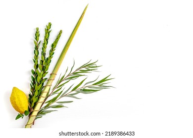 Jewish holiday of Sukkot. Traditional symbols (The four species): Etrog (citron), lulav (palm branch), hadas (myrtle), arava (willow) - Shutterstock ID 2189386433