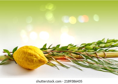 Jewish holiday of Sukkot. Traditional symbols (The four species): Etrog (citron), lulav (palm branch), hadas (myrtle), arava (willow) - Shutterstock ID 2189386435