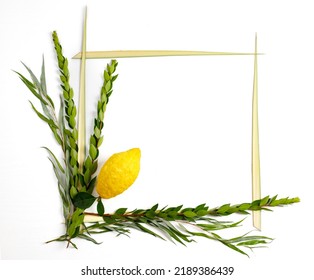 Jewish holiday of Sukkot. Traditional symbols (The four species): Etrog (citron), lulav (palm branch), hadas (myrtle), arava (willow) - Shutterstock ID 2189386439