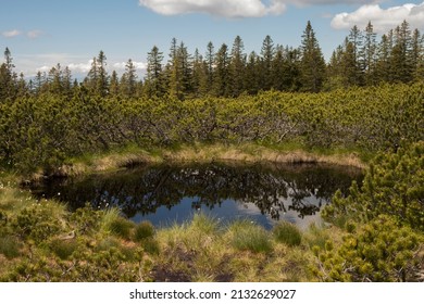 Lovrenška Jezera Near Rogla In Slovenia