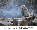 The Jigokudani Monkey Park (地獄谷野猿公苑, Jigokudani Yaen Kōen)